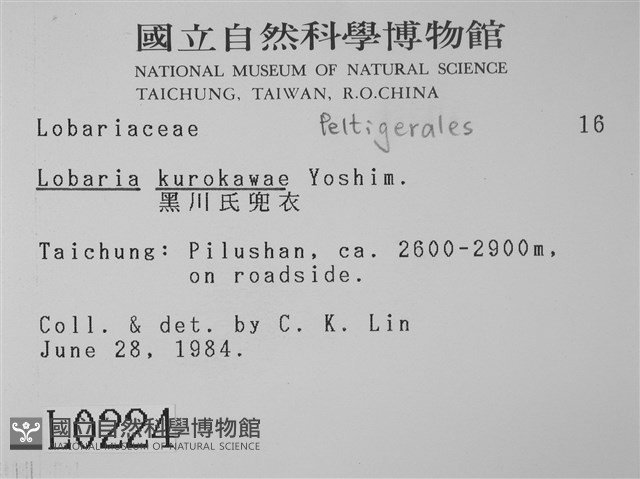 黑川氏兜衣藏品圖，第2張