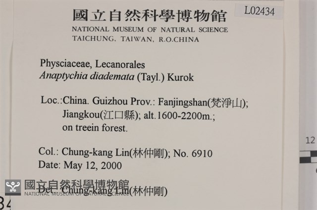 登錄號:L00002324藏品圖，第2張