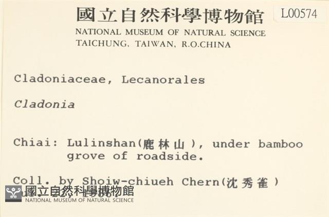 登錄號:L00000574藏品圖，第2張