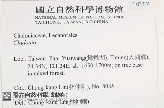 登錄號:L00003374藏品圖，第2張