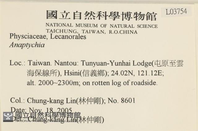 登錄號:L00003754藏品圖，第2張