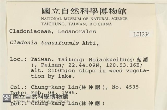 登錄號:L00001234藏品圖，第2張