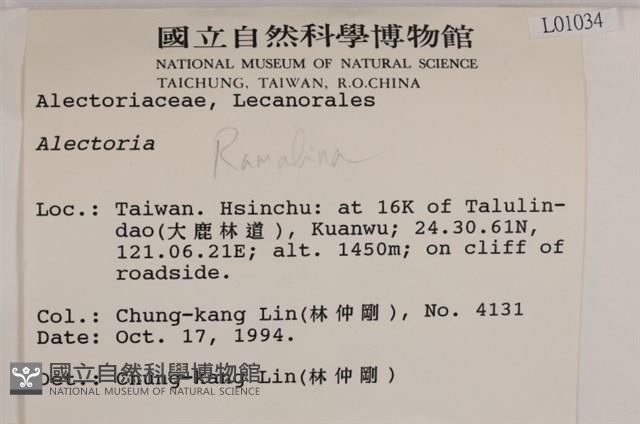 登錄號:L00001034藏品圖，第2張