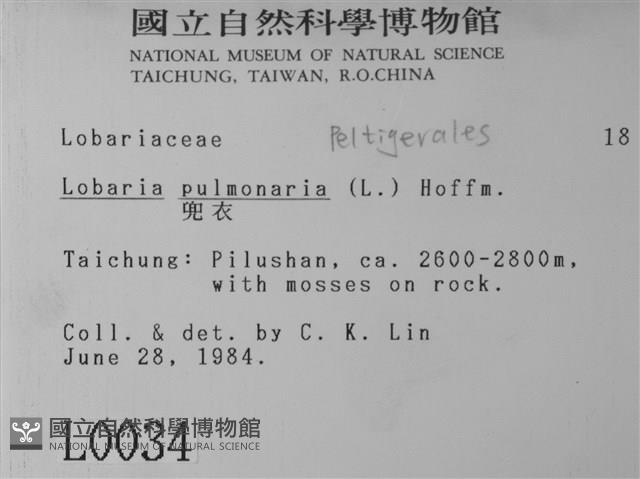 中國兜衣藏品圖，第2張