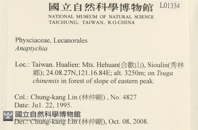 登錄號:L00001334藏品圖，第2張