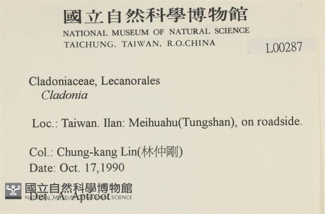 登錄號:L00000287藏品圖，第2張