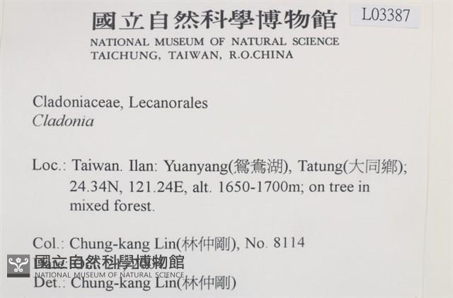 登錄號:L00003387藏品圖，第2張