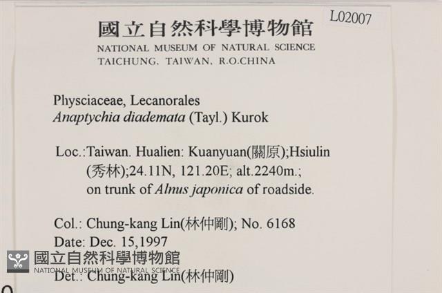 登錄號:L00002007藏品圖，第2張