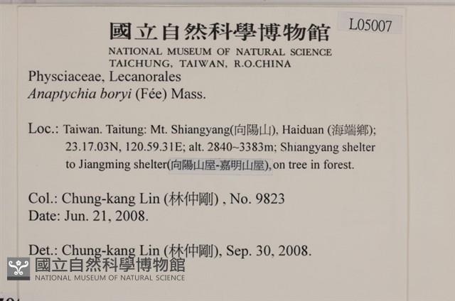 登錄號:L00005007藏品圖，第2張