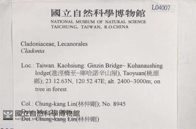 登錄號:L00004007藏品圖，第2張