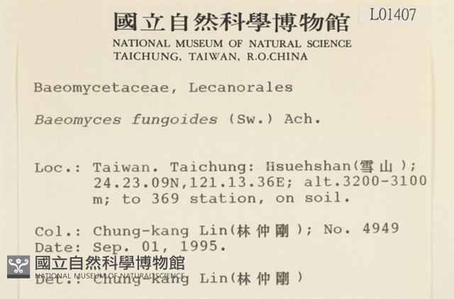 登錄號:L00001407藏品圖，第2張