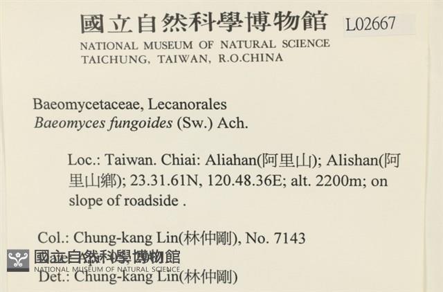 登錄號:L00002667藏品圖，第2張