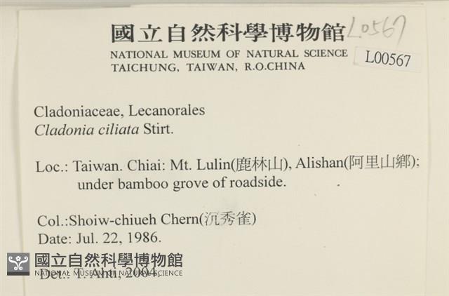 登錄號:L00000567藏品圖，第2張