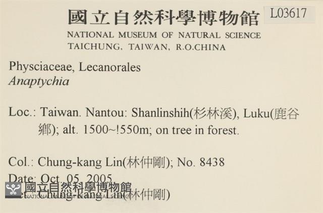 登錄號:L00003617藏品圖，第2張