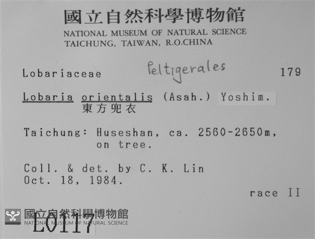 東方兜衣藏品圖，第2張