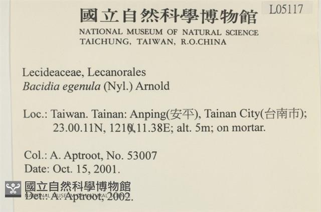 登錄號:L00005117藏品圖，第2張