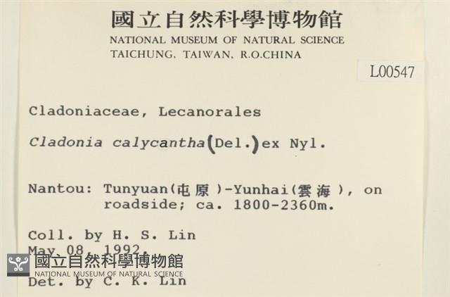 登錄號:L00000547藏品圖，第2張