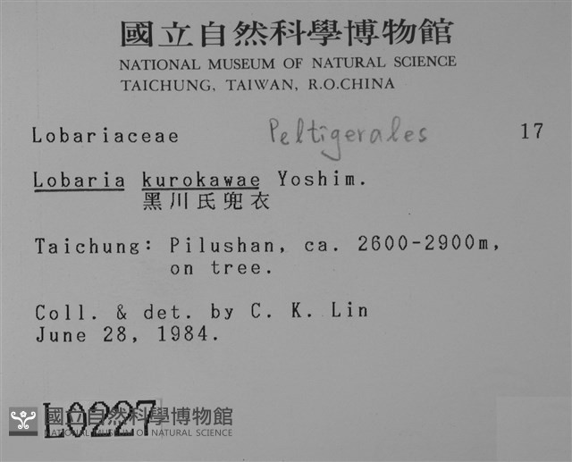 黑川氏兜衣藏品圖，第2張
