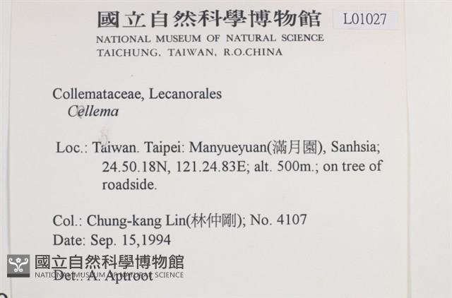 登錄號:L00001027藏品圖，第2張