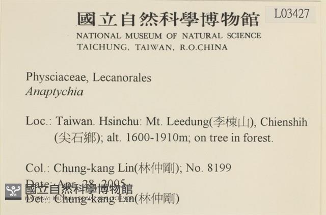 登錄號:L00003427藏品圖，第2張