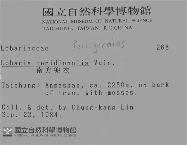 南方兜衣藏品圖，第2張