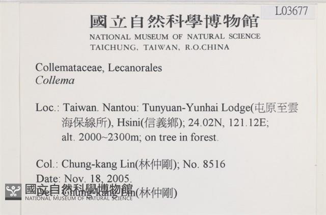 登錄號:L00003677藏品圖，第2張