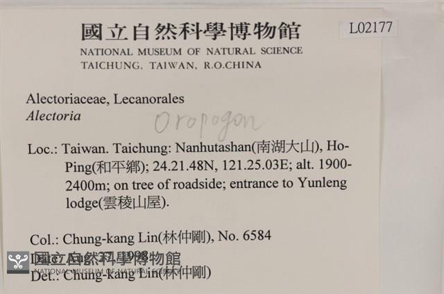 登錄號:L00002177藏品圖，第2張