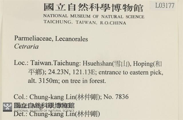 登錄號:L00003177藏品圖，第2張