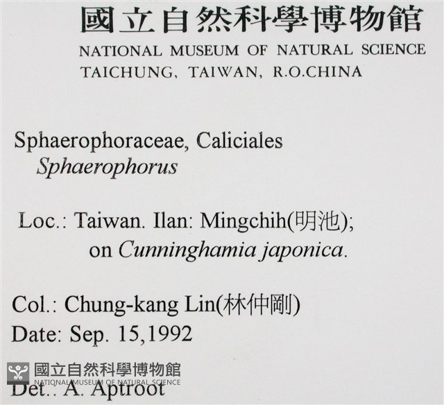 登錄號:L00000577藏品圖，第2張