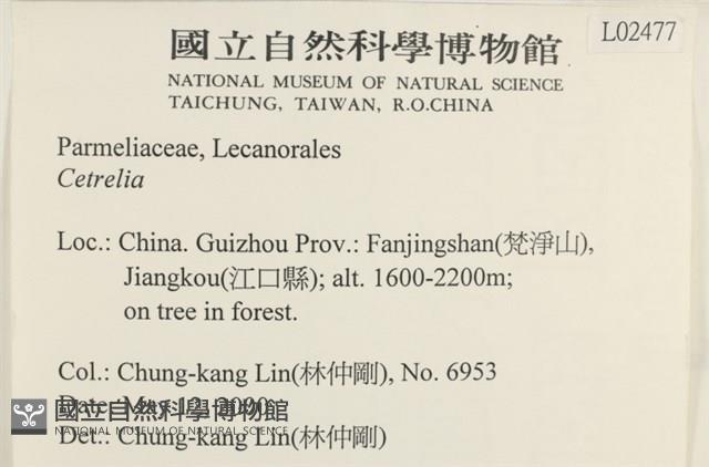 登錄號:L00002477藏品圖，第2張