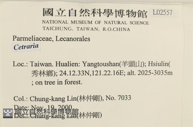 登錄號:L00002557藏品圖，第2張
