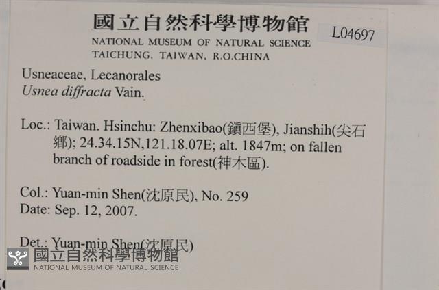 環裂菘蘿藏品圖，第2張