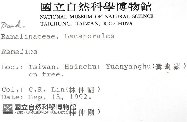 登錄號:L00000597藏品圖，第2張