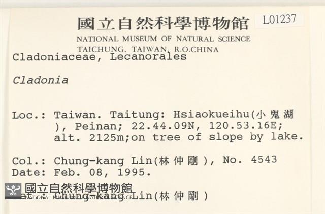 登錄號:L00001237藏品圖，第2張