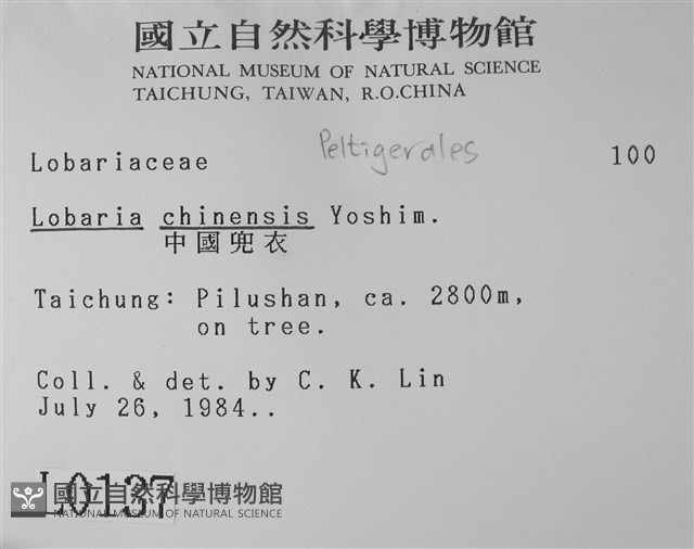 中國兜衣藏品圖，第2張