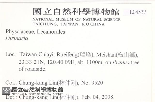 登錄號:L00004537藏品圖，第2張