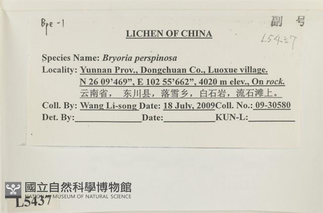 登錄號:L00005437藏品圖，第2張