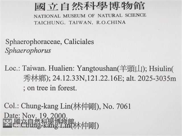 登錄號:L00002585藏品圖，第2張