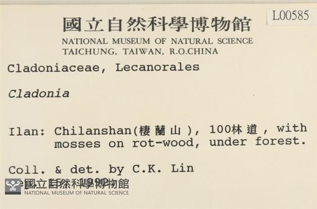 登錄號:L00000585藏品圖，第2張