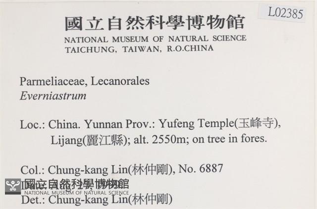 登錄號:L00002385藏品圖，第2張