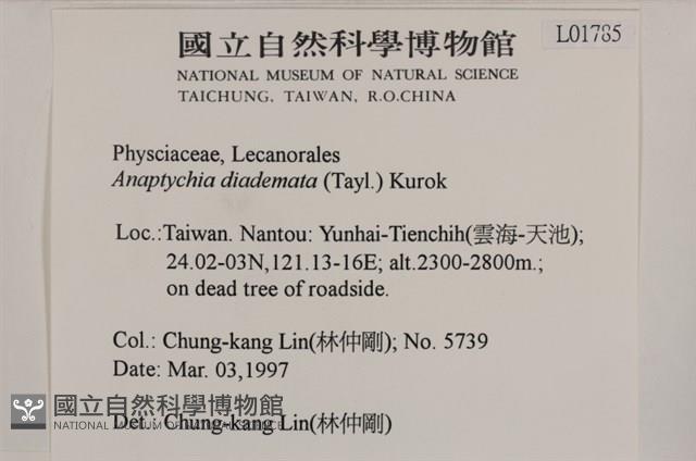 登錄號:L00001785藏品圖，第2張