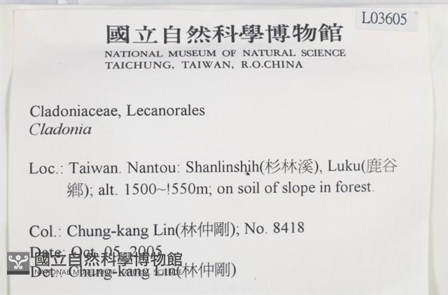 登錄號:L00003605藏品圖，第2張