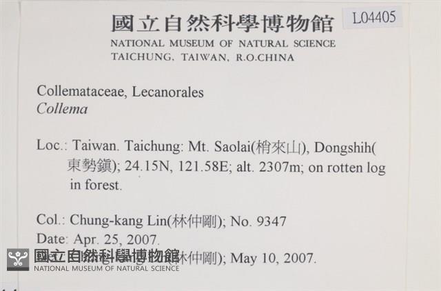 登錄號:L00004405藏品圖，第2張