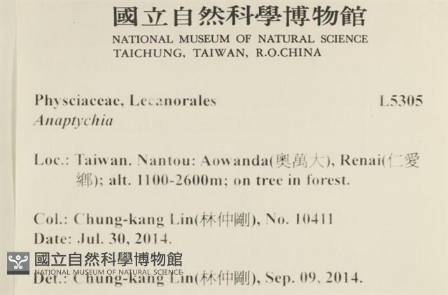 登錄號:L00005305藏品圖，第2張