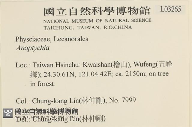 登錄號:L00003265藏品圖，第2張