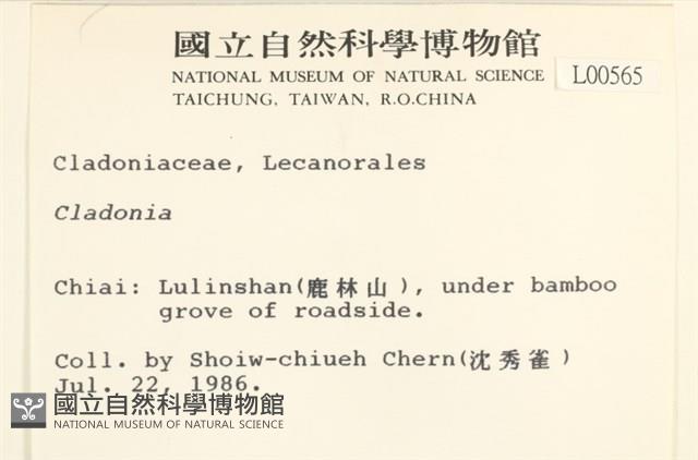 登錄號:L00000565藏品圖，第2張