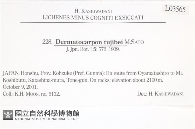 登錄號:L00003565藏品圖，第2張