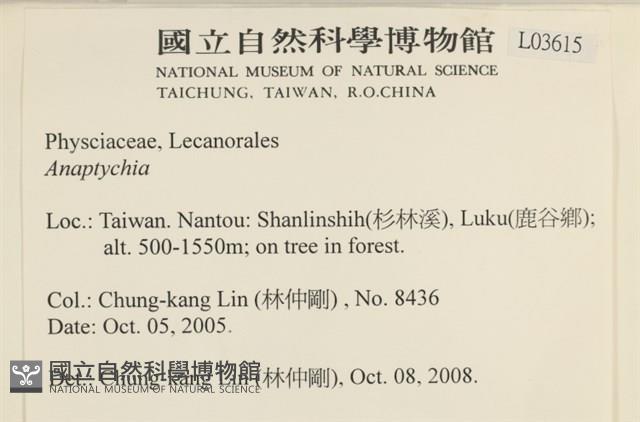 登錄號:L00003615藏品圖，第2張