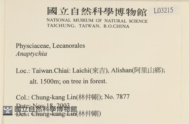 登錄號:L00003215藏品圖，第2張