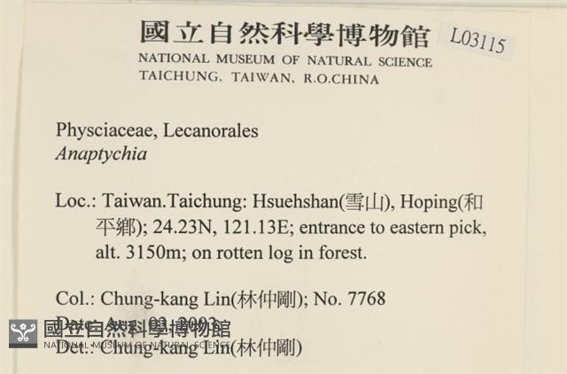 登錄號:L00003115藏品圖，第2張